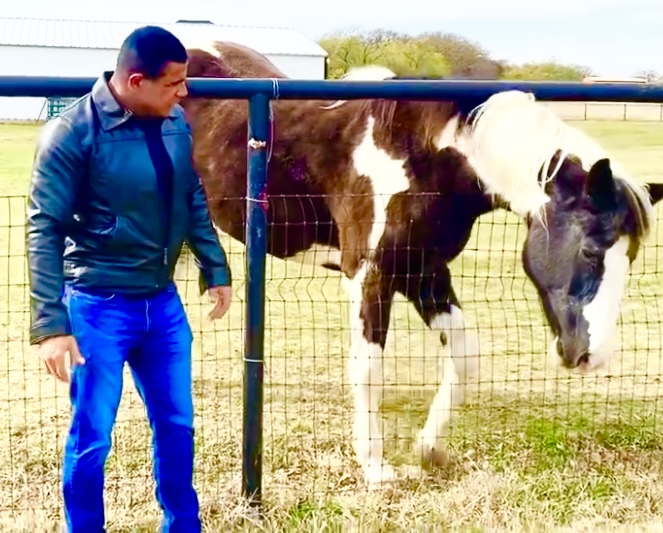 Keith Middlebrook, NBA, MLB, NFL, Horses, Keith Middlebrook Foundation